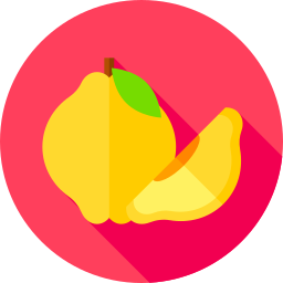 모과 icon