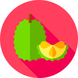 Jackfruit icon