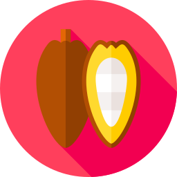 Cacao icono