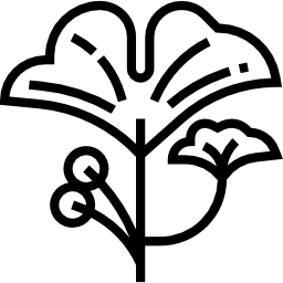 Ginkgo icon