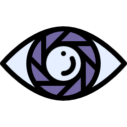 vision icon