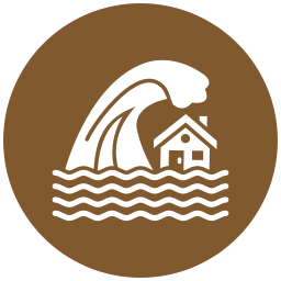 쓰나미 icon
