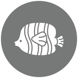 peixe borboleta Ícone