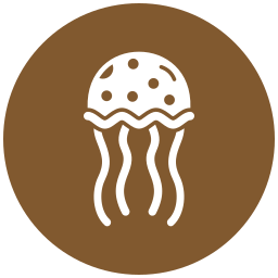 Jellyfish icon