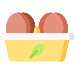 Organic eggs icon
