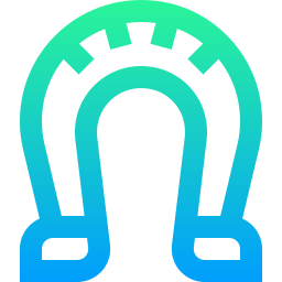 Horseshoe  icon