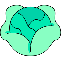 Cabbage  icon