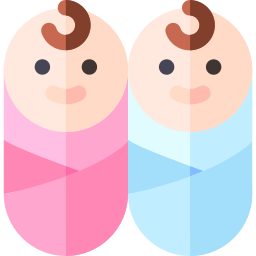 Twins icon