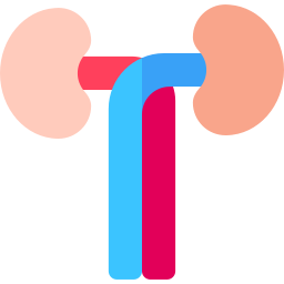 Kidneys icon