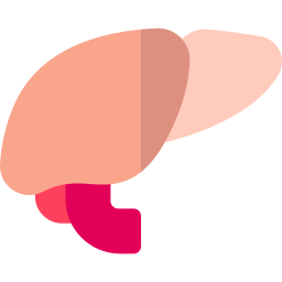 Liver icon