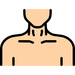 hals icon