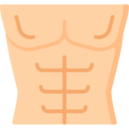 abs icon