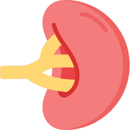Spleen icon