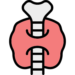 thyroïde Icône