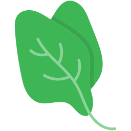 Spinach icon