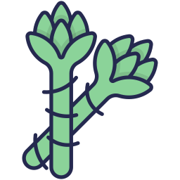 Asparagus icon