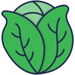 Cabbage  icon