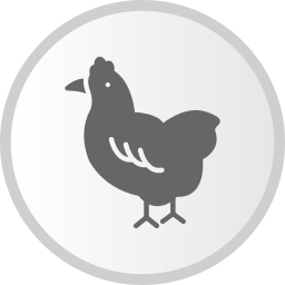 poulet Icône