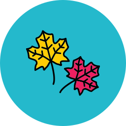 Maple leaf icon