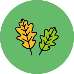 Oak Leaf icon