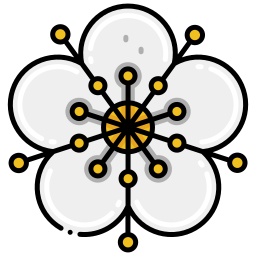 myrtus icono