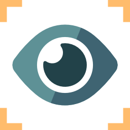 Vision icon