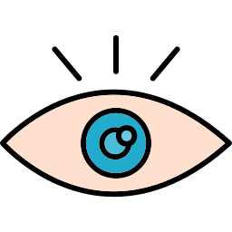 目 icon