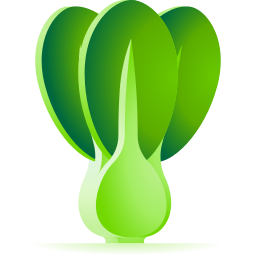 Bok choy icon