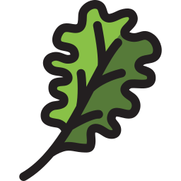 grünkohl icon