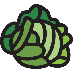 Cabbage  icon