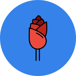 rose icon