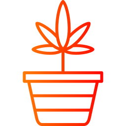 Pineappleweed icon