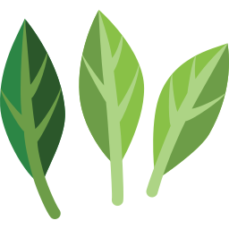 Bayleaf icon