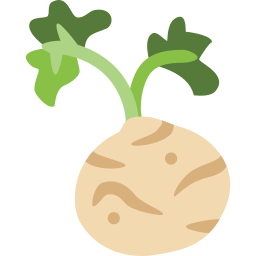 Celery root icon
