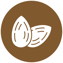 Almonds icon