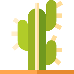 saguaro icoon