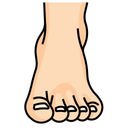 piedi icona