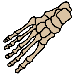 ossos Ícone