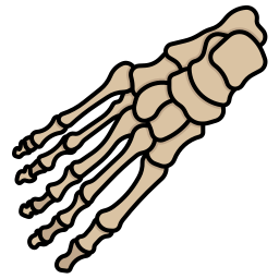 Bones icon