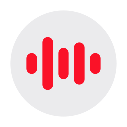 Audio recorder icon