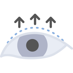 ojo icono