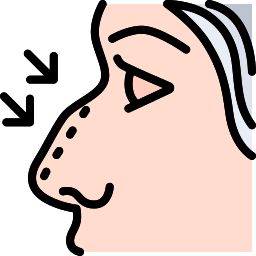 Nose icon