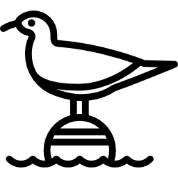 gaivota Ícone