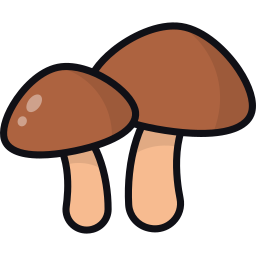 Mushrooms icon