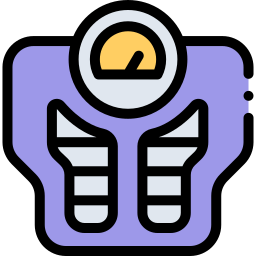 Scale icon