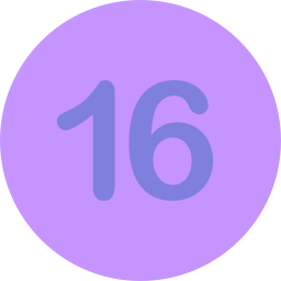 numero 16 Ícone