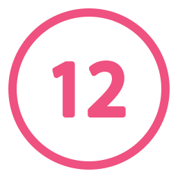 12 icon