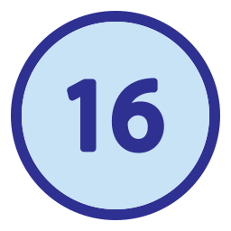 16 icon