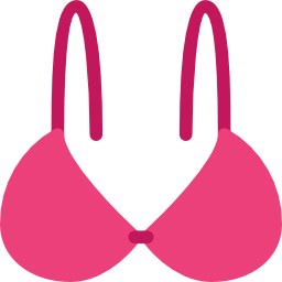 Bra icon