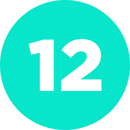 12 icon